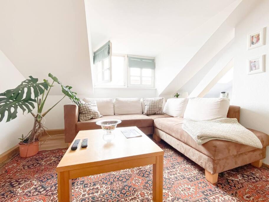 Schoene Ferienwohnung Mit Blick Ueber Stadtwald Leipzig Eksteriør bilde